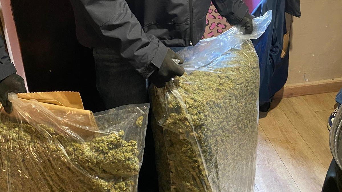 Los Mossos d'Esquadra desmantelan una plantación de marihuana en Bellaguarda