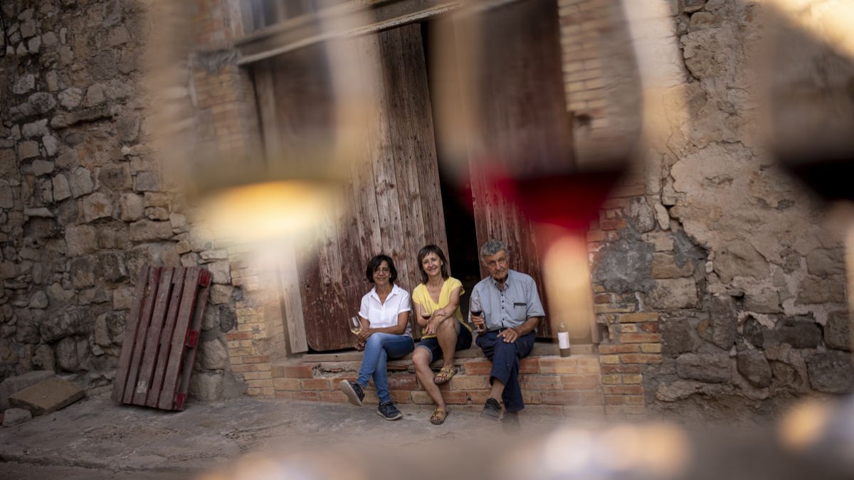 Cal Cabo Celler - DRINKINMODERATION