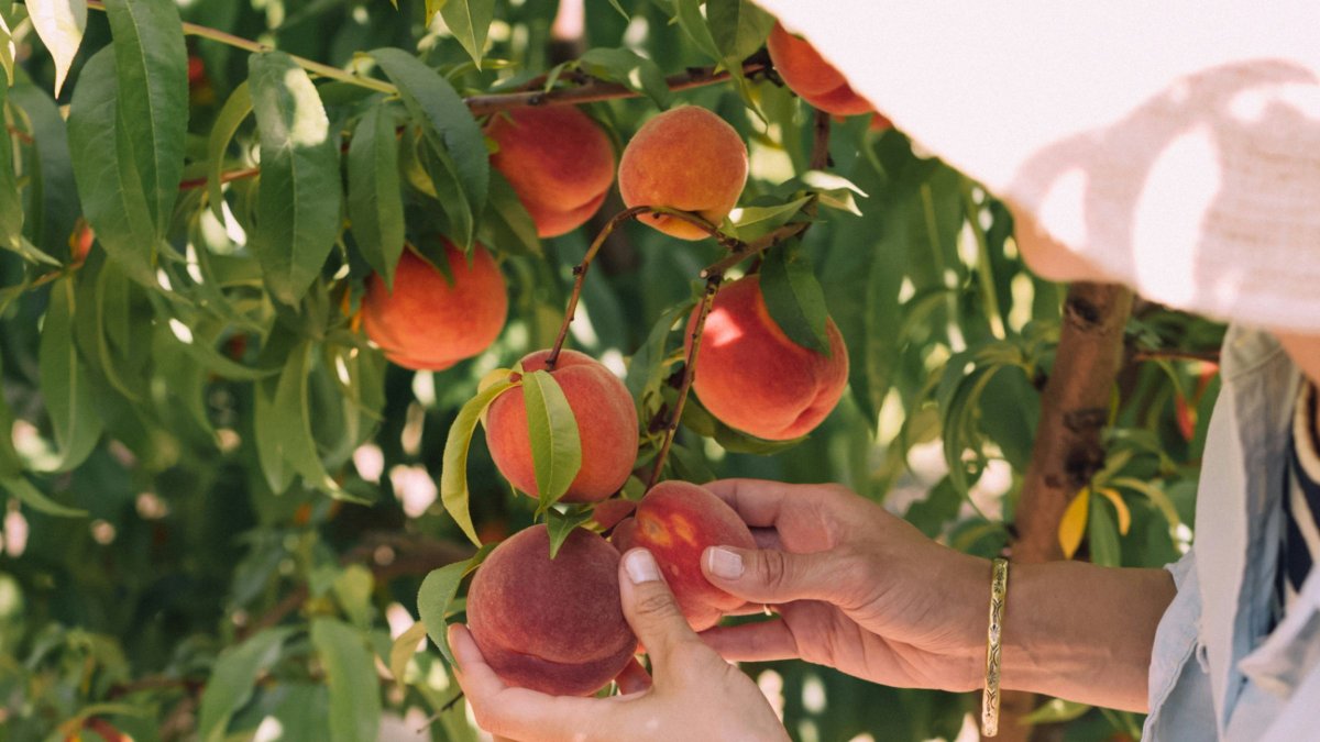 Christiann Koepke / Unsplash