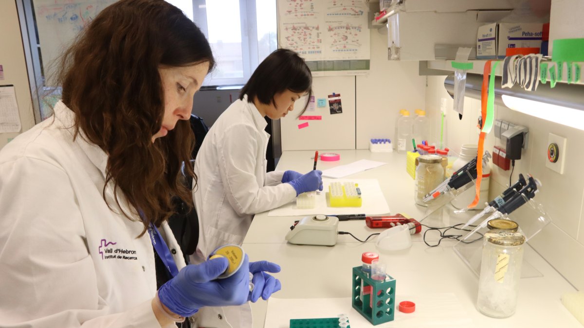 Investigadors del grup de Recerca Biomèdica en Melanoma del Vall d’Hebron Institut de Recerca (VHIR) treballant al laboratori.