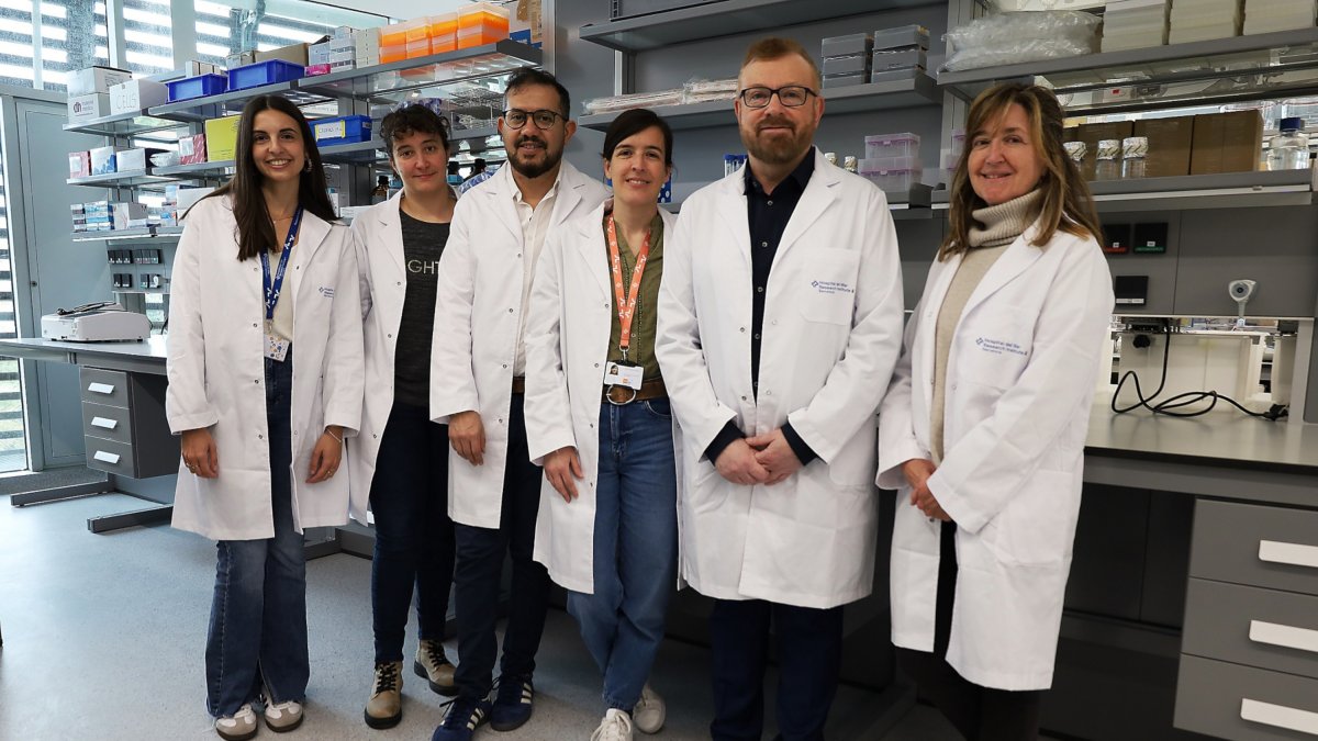 Investigadores del equipo de la doctora Pilar Navarro y el doctor Gabriel Rabinovich, en el laboratorio.