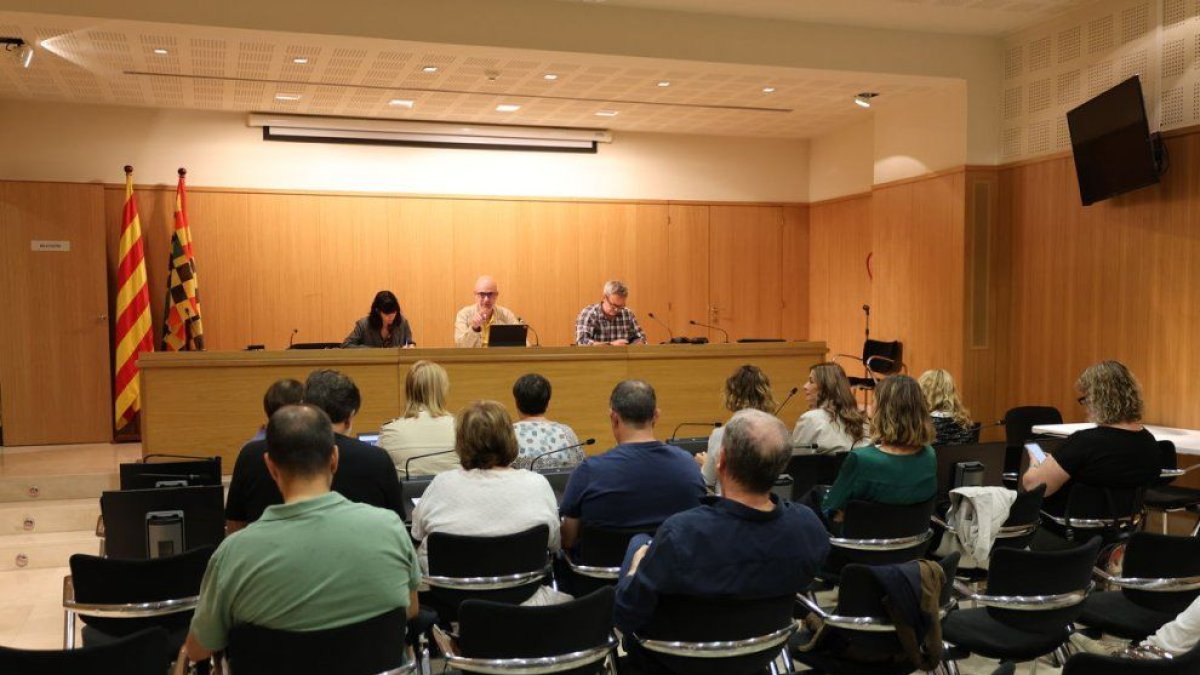 Un ple del consell comarcal. - SEGRE