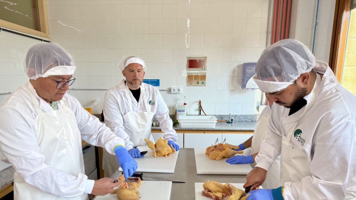 Alumnos que cursan el certificado de carniceria y elaboración de productos cárnicos en el Pallars. - ACN