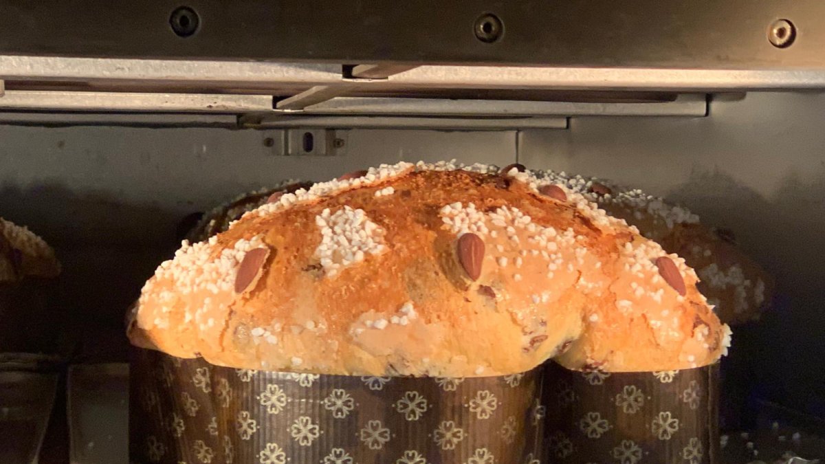 Colomba pasquale, feta amb farina, mantega, ou, sucre i ametlla.