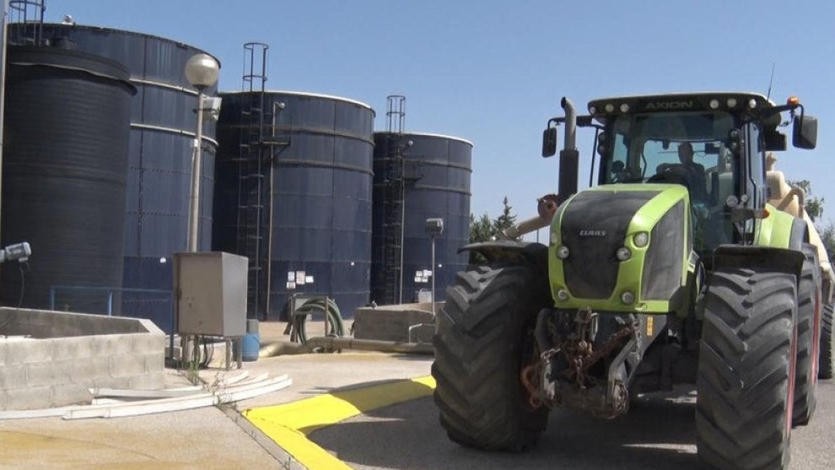 Un tractor transporta purins a la planta de Tracjusa a Juneda. - M.REBULL