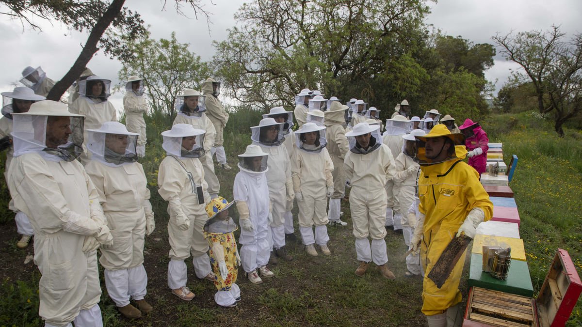 La proposta de La Nostra Mel, gratuïta aquest mes, està registrant una elevada demanda de visitants. - J. GÓMEZ