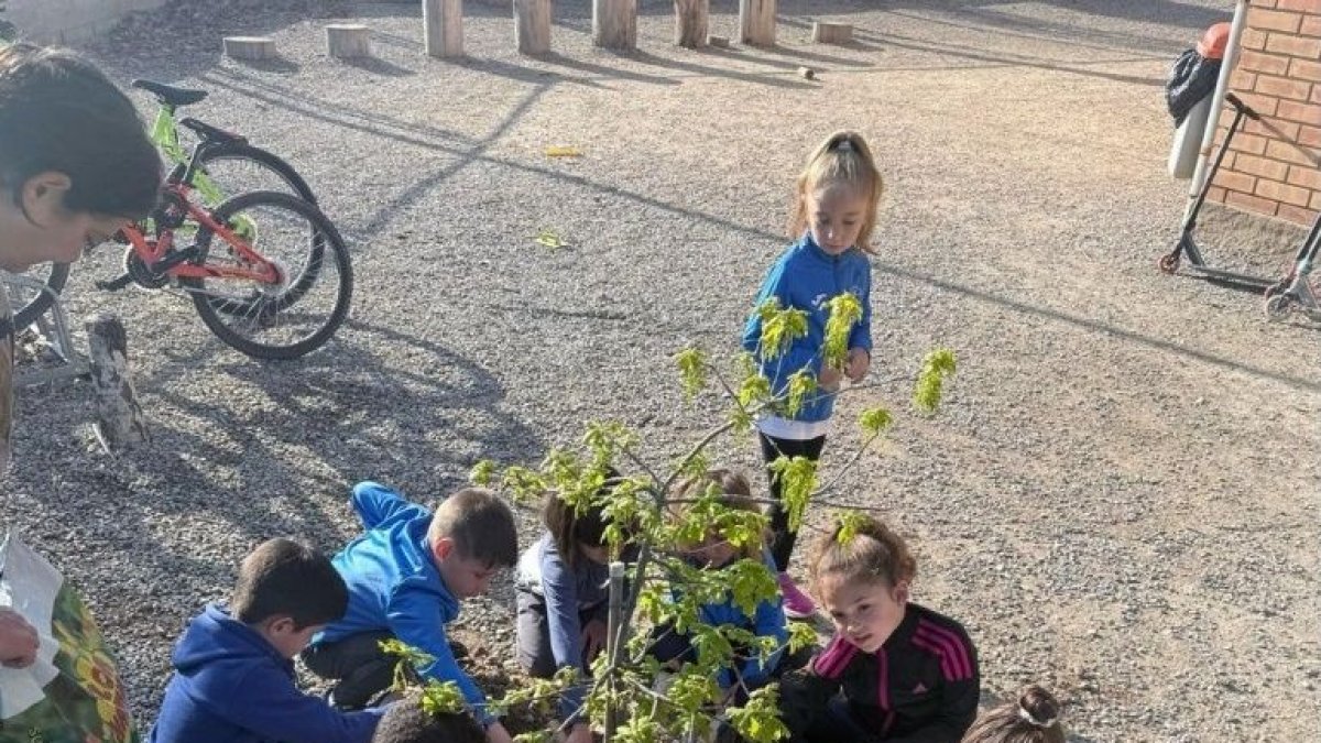 El ciclo incluyó un taller de replantación de plantas aromáticas. - FEM LLAVOR