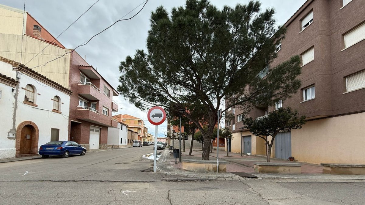 El gran pi a la placeta al costat del carrer Les Eres, al qual l’ajuntament atribueix danys en el ferm.