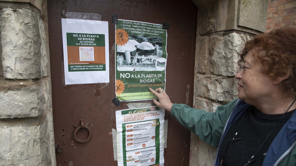 Han colgado carteles informativos por toda la comarca. - C.MARSIÑACH