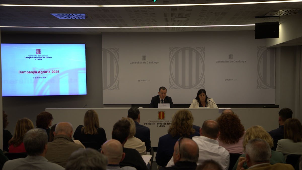 El conseller i la delegada del Govern, en la reunió amb sector i ajuntaments. - GERARD HOYAS