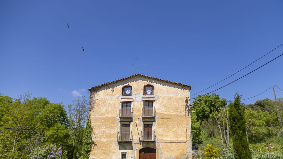 Una bandada de buitres sobrevuela la escuela de Vall-llebrera, donde Josep Civit dio clase quince años. - ARXIU NACIONAL DE CATALUNYA/AYUNTAMIENTO DE SÚRIA