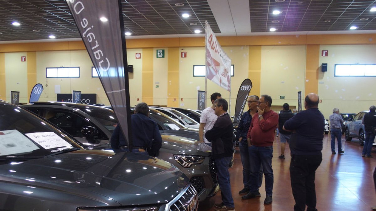 Visitantes durante la jornada de ayer. - FIRA DE MOLLERUSSA