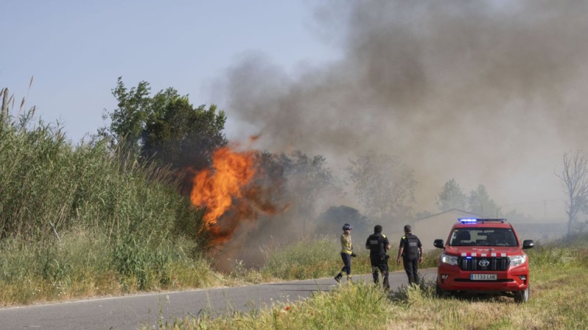 Incendi a la partida de Rufea de Lleida.