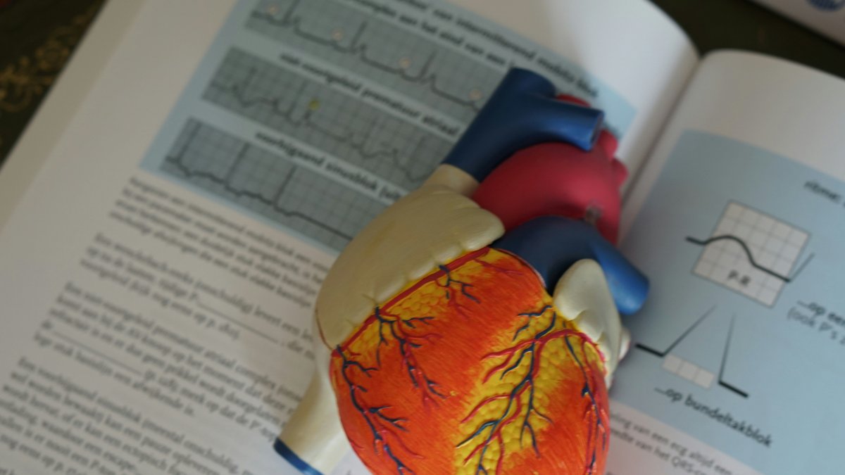 Robina Weermeijer / Unsplash