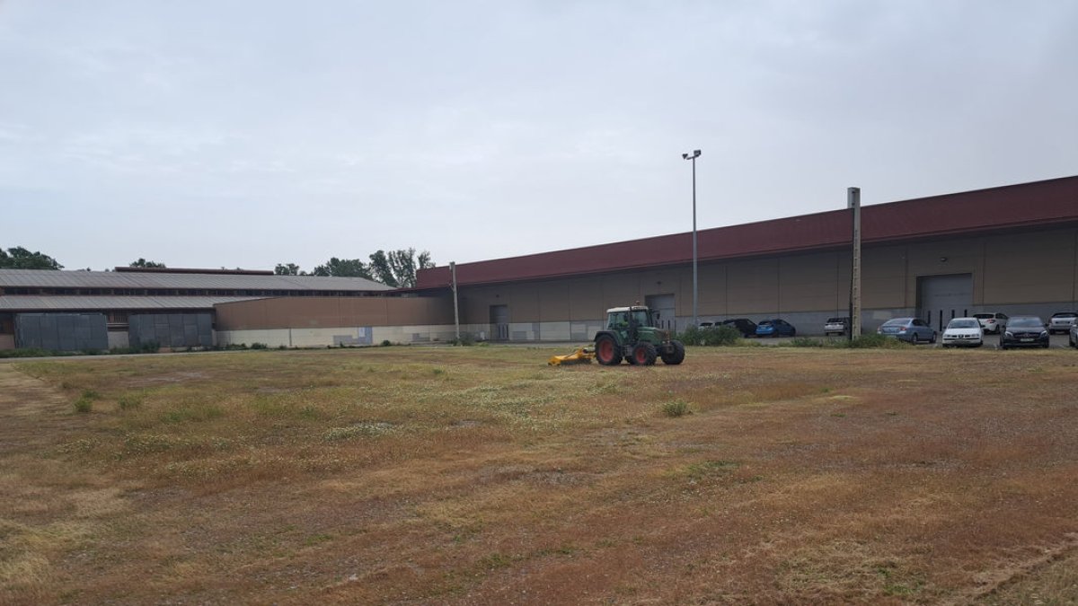 Condicionen el solar al costat dels pavellons per a les Festes i l’Aplec - SCD