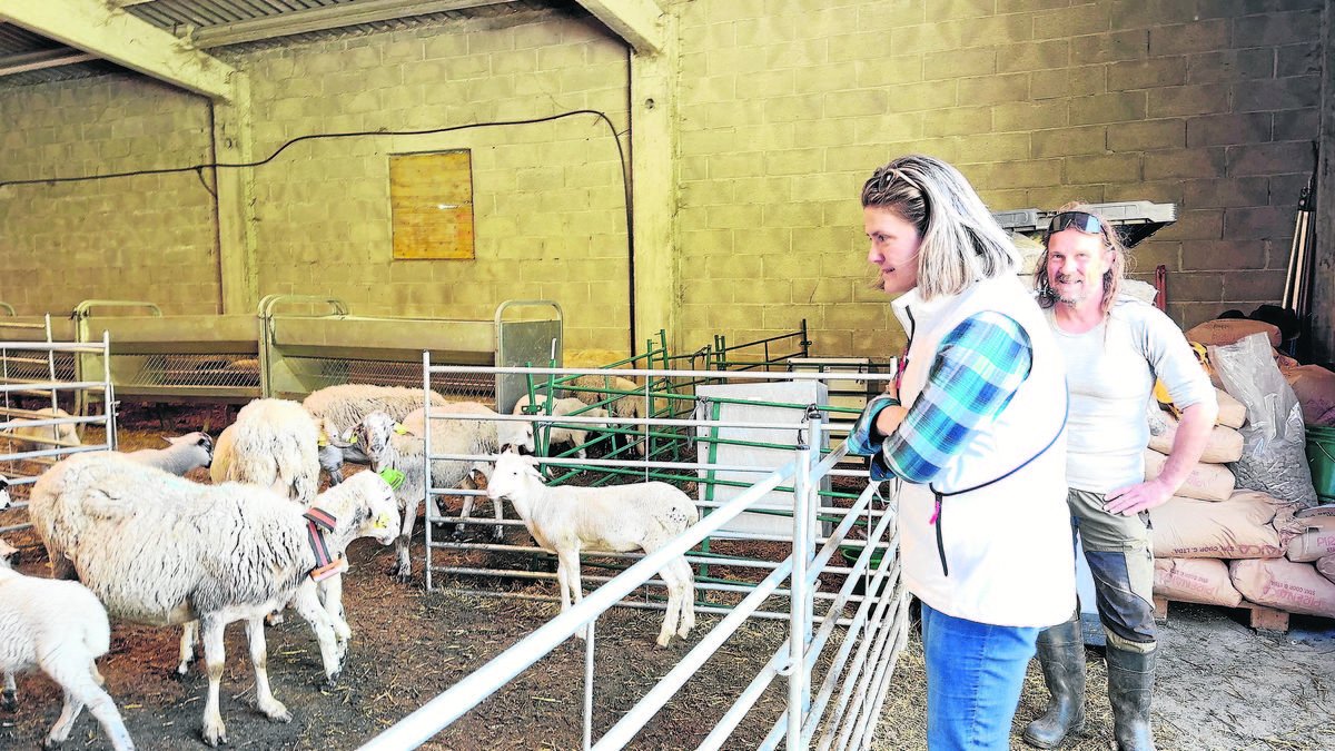 Era sindica d’Aran en tot visitar eth ramat deth projècte Ovihuec.dat - ACN
