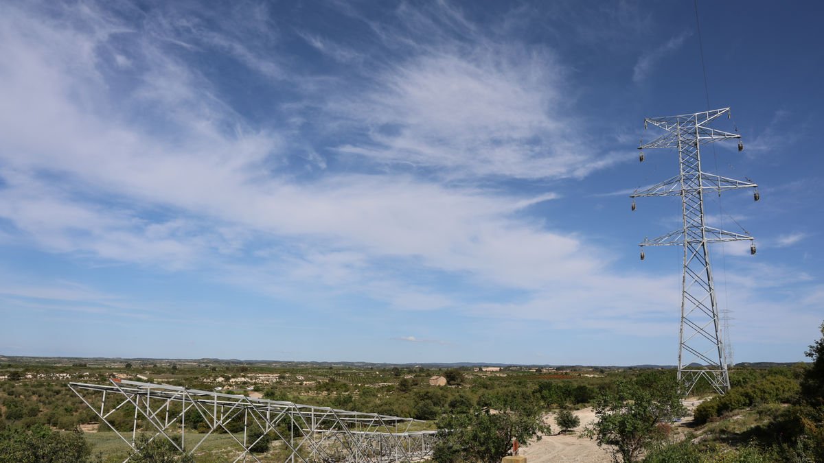 Una torre a terra de la línia d’alta tensió entre Mangraners i Begues, que Red Eléctrica està repotenciant al tram de les Borges. - AMADO FORROLLA