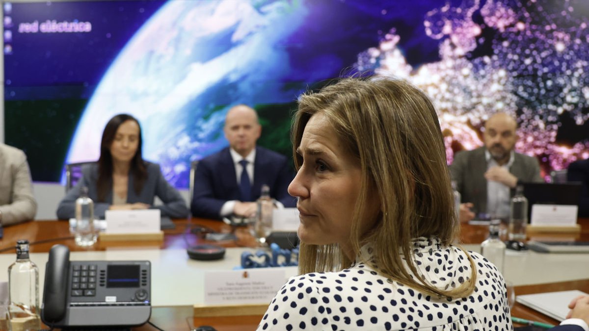 Aagesen presidint dissabte la reunió del comitè d’anàlisi. - EFE