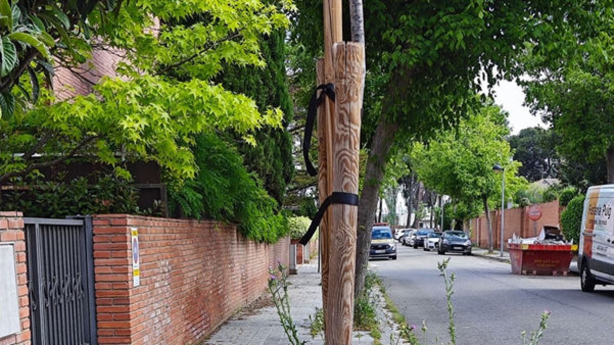 Un alcorque ‘colonizado’por malas hierbas en Ciutat Jardí. - AVCJ