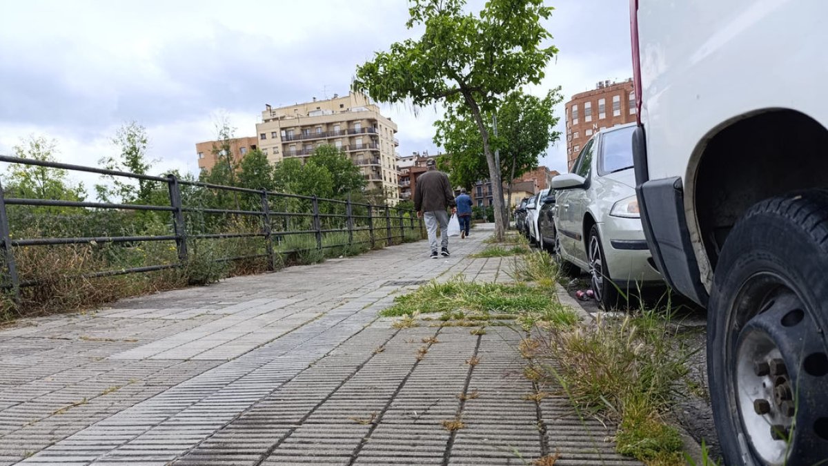 Hierba saliendo de la acera en la calle Rosa Parks. - S.E.
