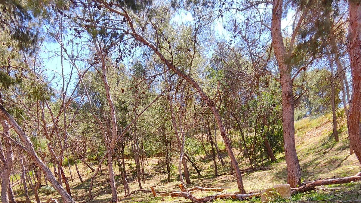 Un racó del Parc de Santa Cecília
