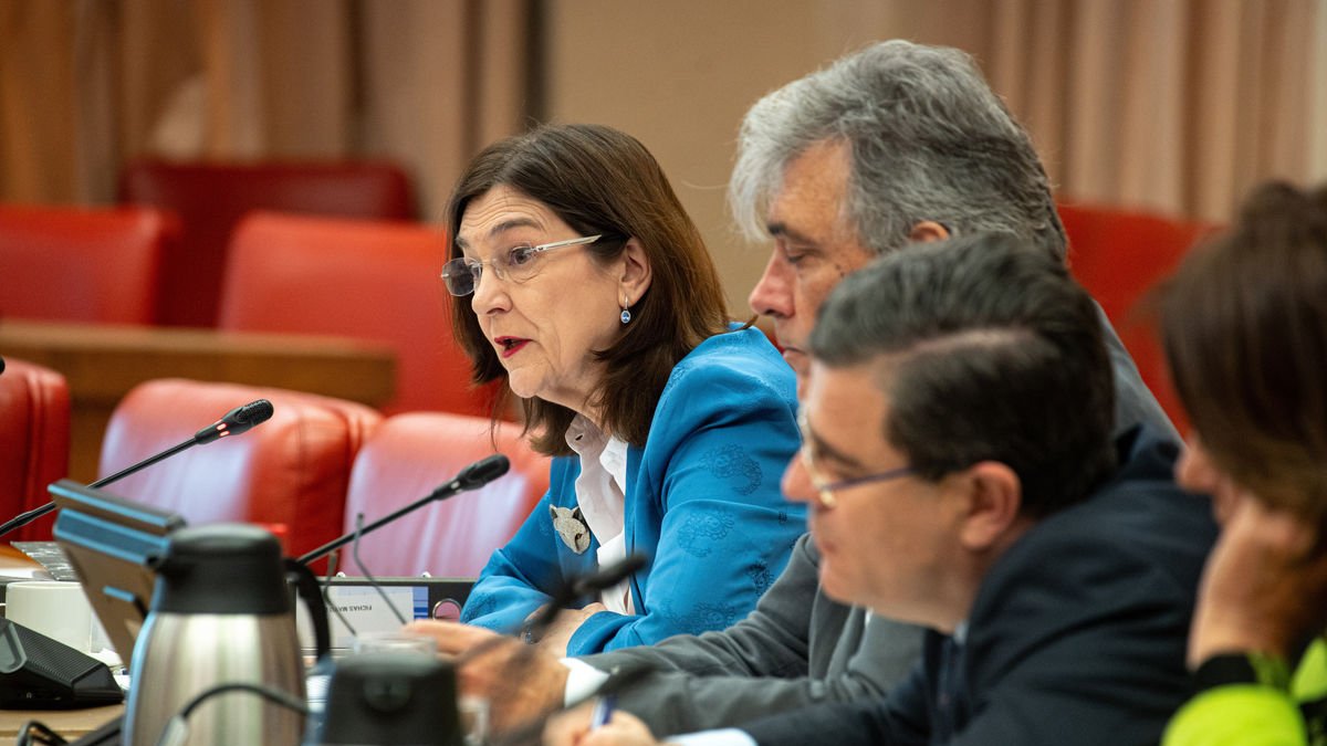 Cani Fernández, presidenta de la CNMC, ahir al Congrés. - GABRIEL LUENGAS / EUROPA PRESS