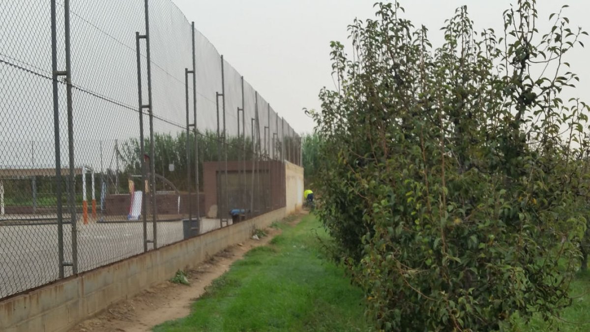 Vista dels terrenys que l’ajuntament d’Aitona ha adquirit al costat del col·legi Francesc Feliu. - AJUNTAMENT D’AITONA