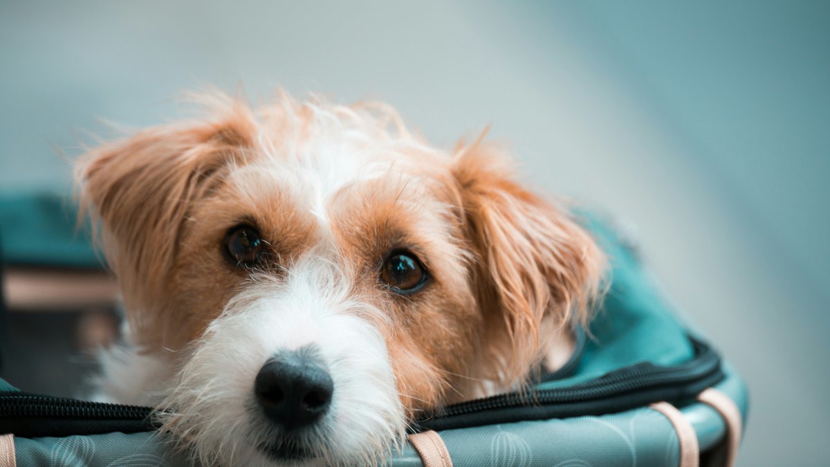 TA-WEI LIN / Unsplash