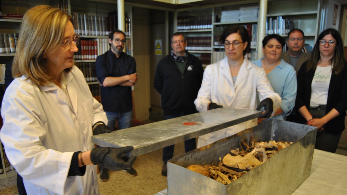 Tècnics observant obren les osseres dels comtes d'Urgell