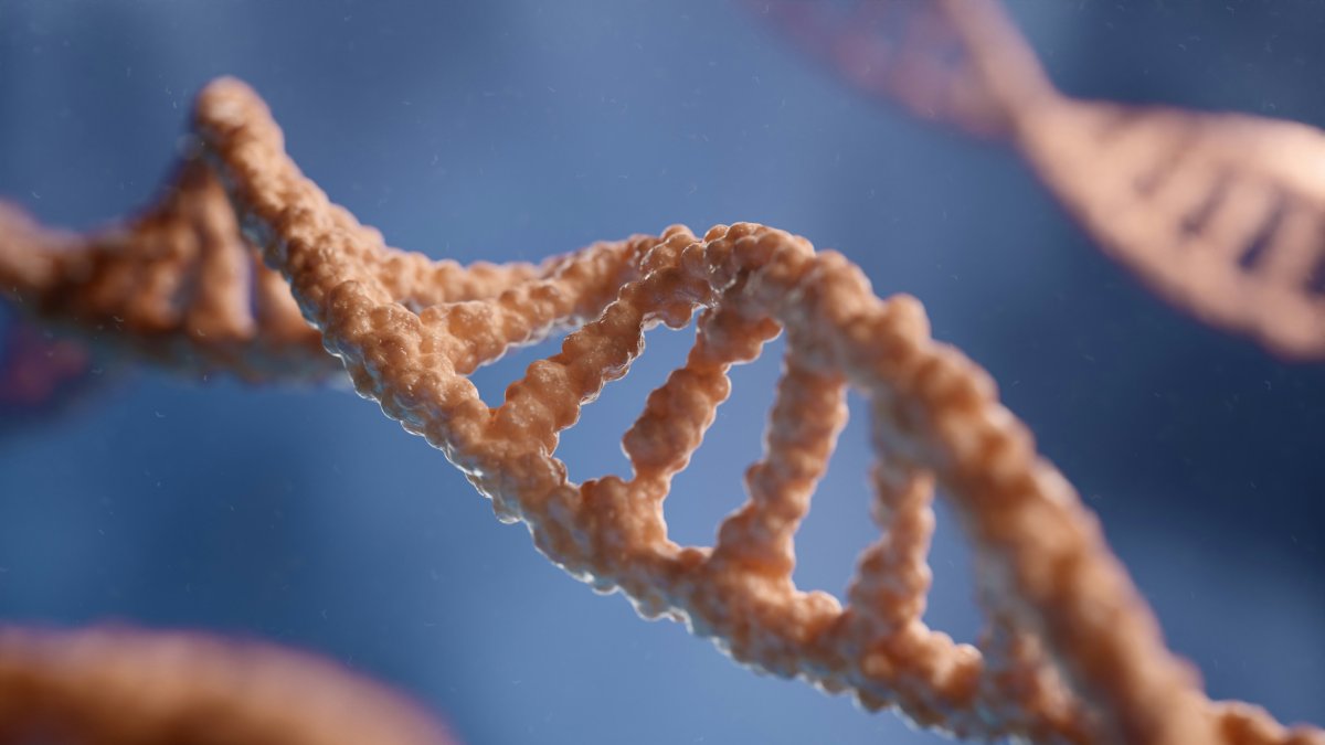 digitale.de / Unsplash