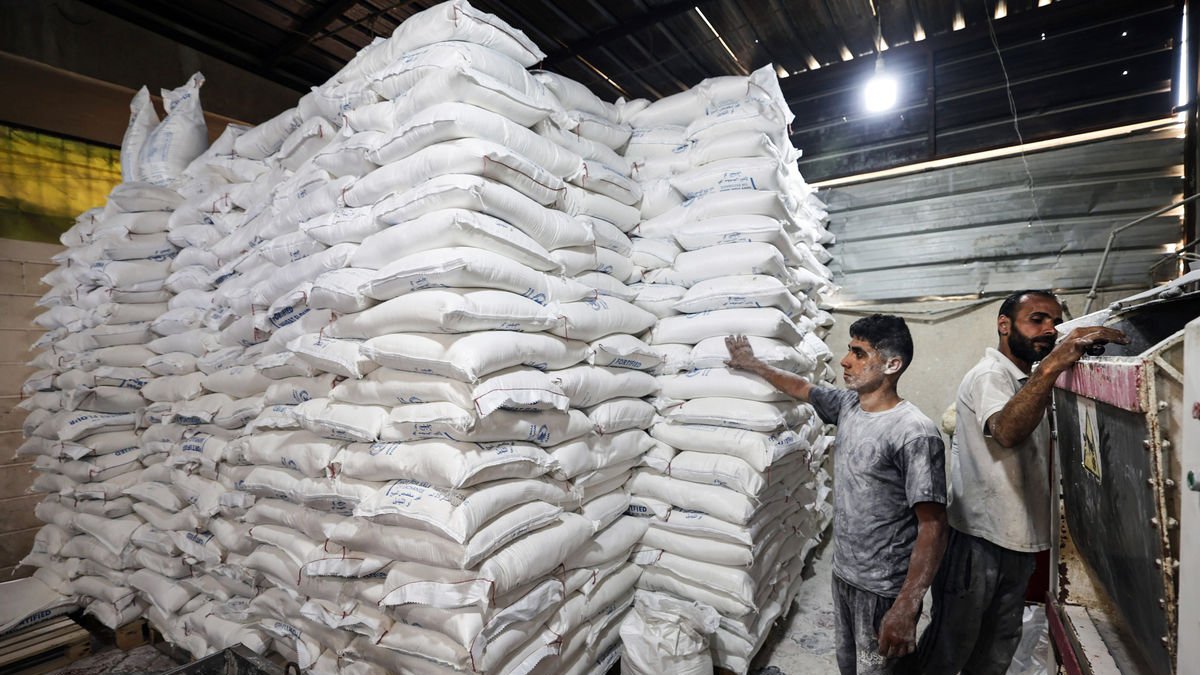 Trabajadores en Gaza empaquetan alimentos para ser distribuidos por toda la Franja. - MOIZ SALHI