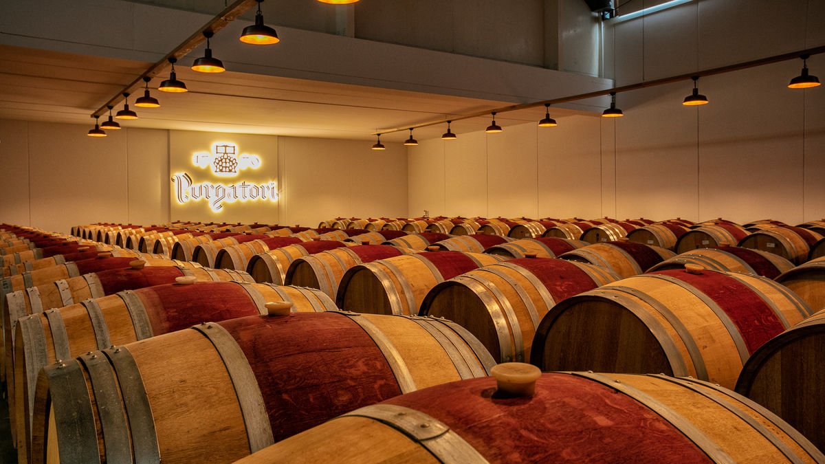 Celler Purgatori - CELLER PURGATORI