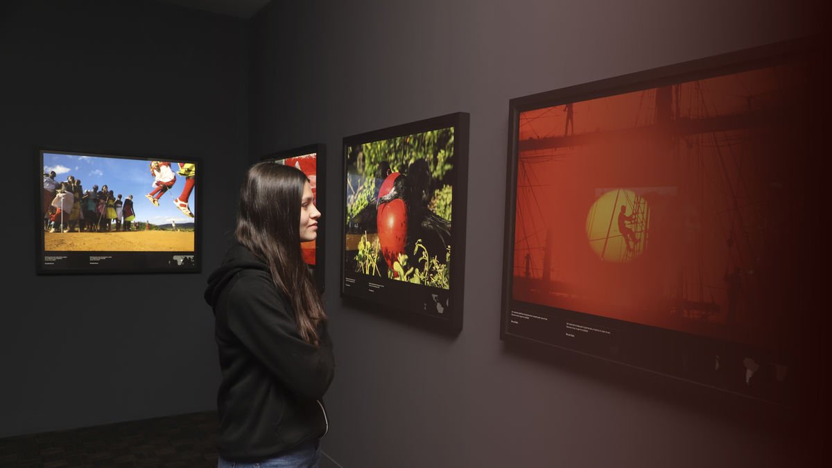 Desenes de persones han visitat la mostra des de la seva inauguració al març. - MAGDALENA ALTISENT