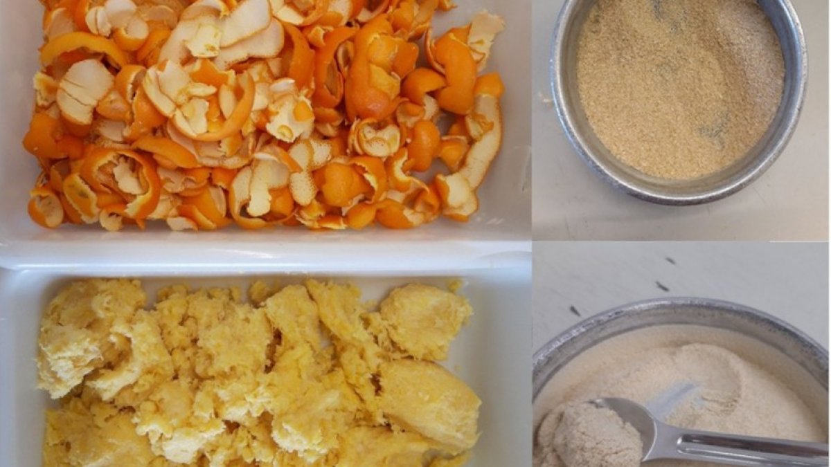 Residus de poma i taronja es converteixen en prebiòtics naturals gràcies a una investigació de la Universitat de Lleida i Nestlé.