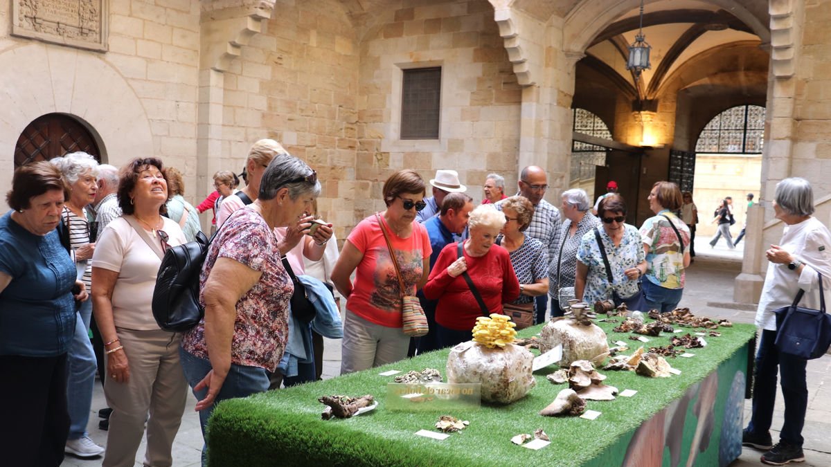 Visitantes ayer de la XXVII Mostra de Bolets de Primavera en el patio del IEI. - IEI