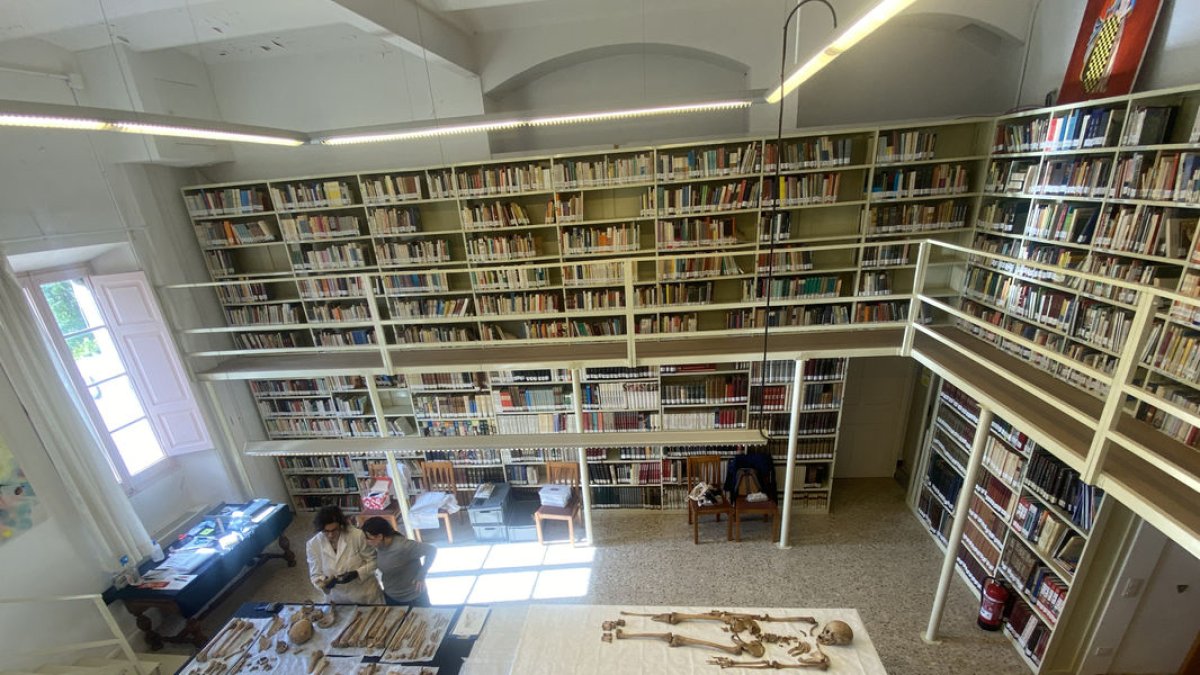 Los primeros estudios se han llevado durante este semana en la biblioteca del monasterio. - E. FARNELL