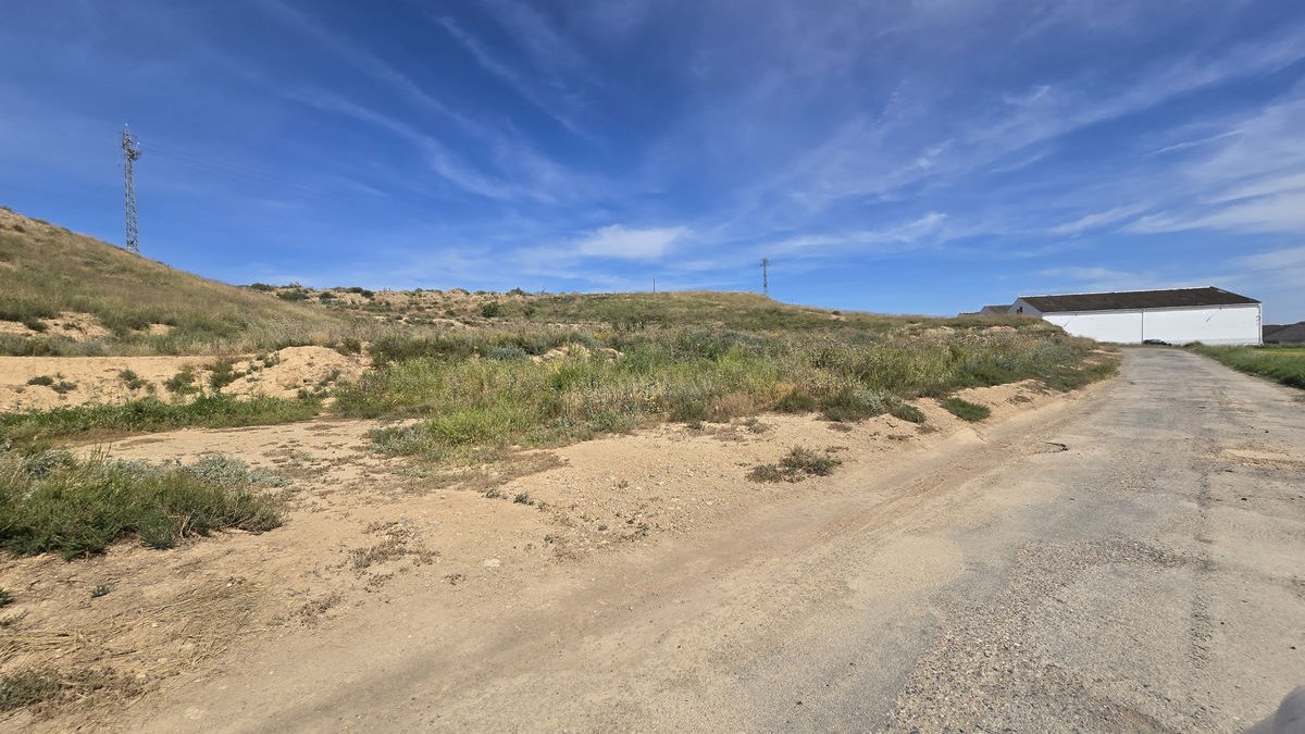 Terrenos junto al polígono Galileu donde el ayuntamiento de Alcarràs propone instalar el ‘datacenter’. - JORDI ECHEVARRÍA