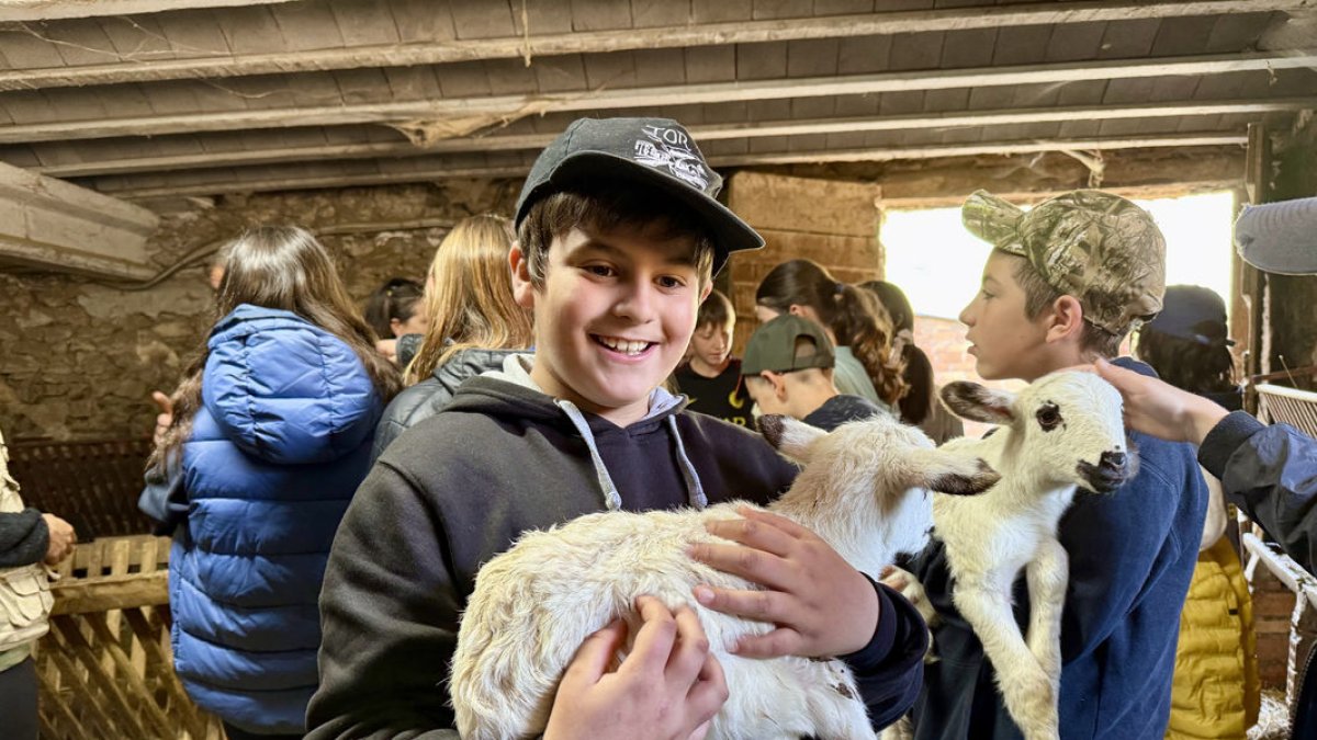 Els estudiants van poder veure i tocar els animals de les granges que van visitar. - MARTA LLUVICH/ACN