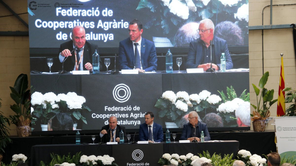 Un moment de l'assemblea general de la FCAC celebrada a Arbeca.