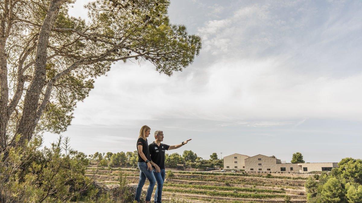 Un llegat a preservar - BLUE COLLECTORS