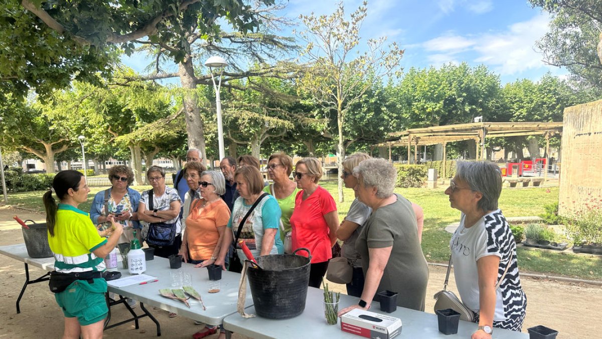 Una quinzena de persones van participar en el taller. - AJUNTAMENT BORGES BLANQUES
