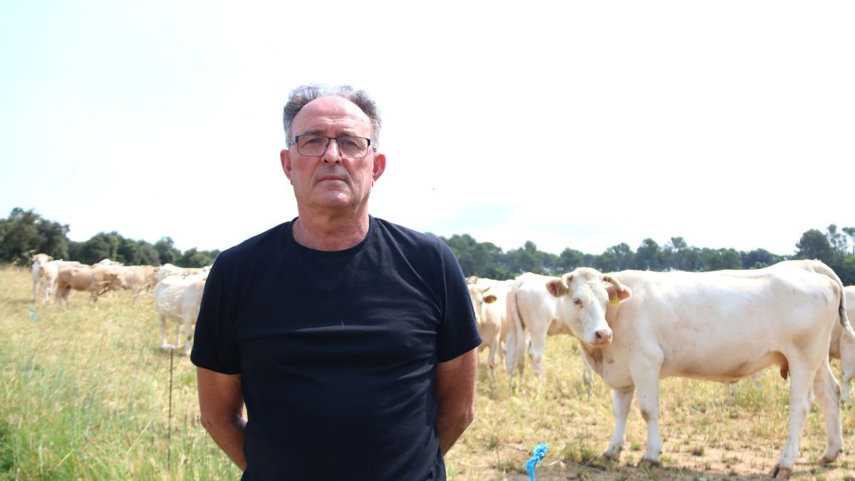 Josep Juscafresa critica que li exigeixin sacrificar animals que assegura que estan sans. - GERARD VILÀ/ACN