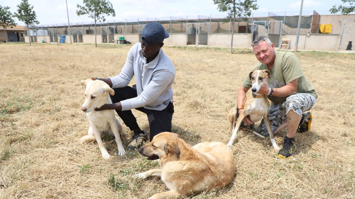 Dos treballadors del centre de Balaguer amb alguns dels animals del refugi. - MAGDALENTA ALTISENT