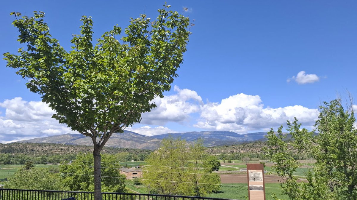 Mig comercial, mig turística - LLUÏSA PLA