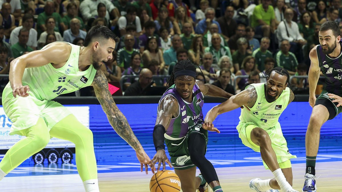 Willy Hernangómez i Punter miren de robar la pilota al local Perry. - EFE