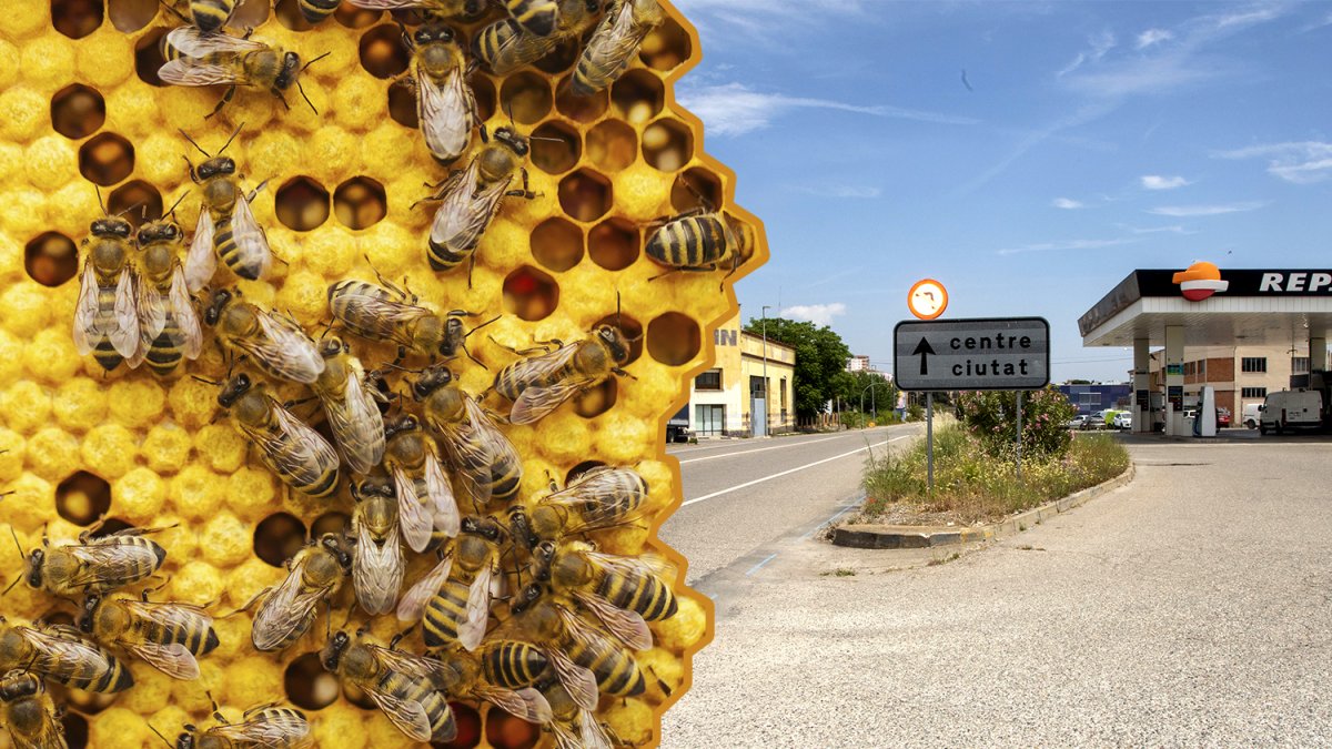 L'inicident va tenir lloc en aquest punt de la N-II al seu pas per la capital de la Segarra.
