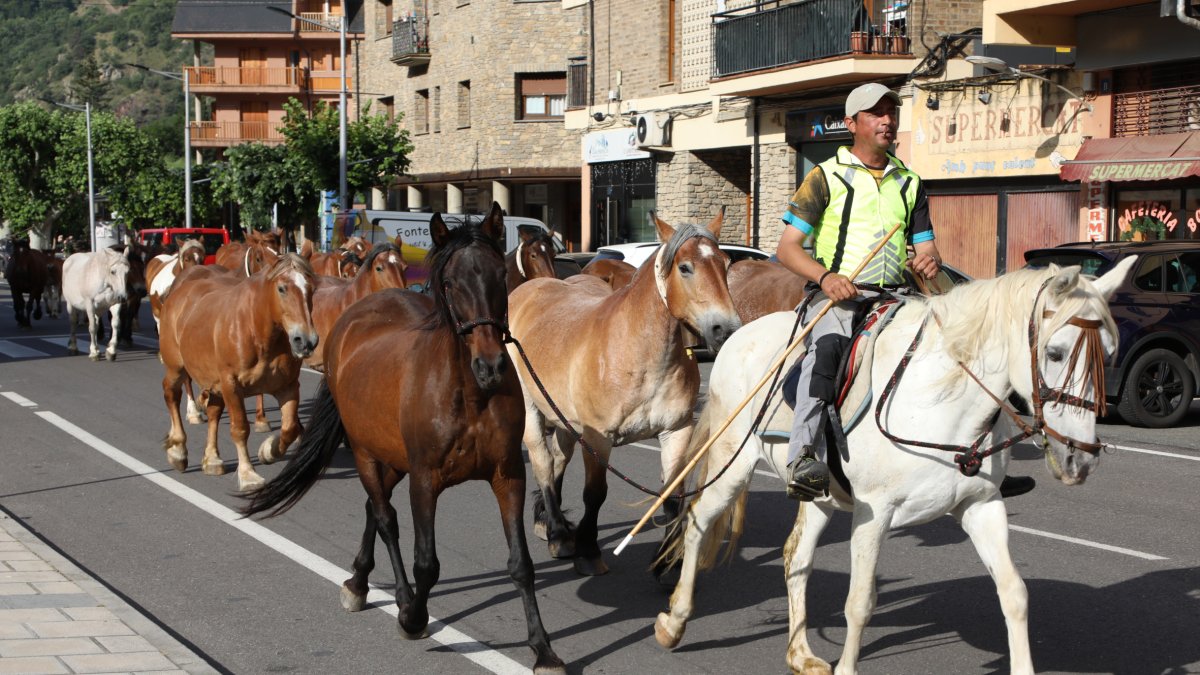 El Gerard dirigeix les eugues de Lázaro Moreno per la travessia de Rialp en direcció a Montenartró