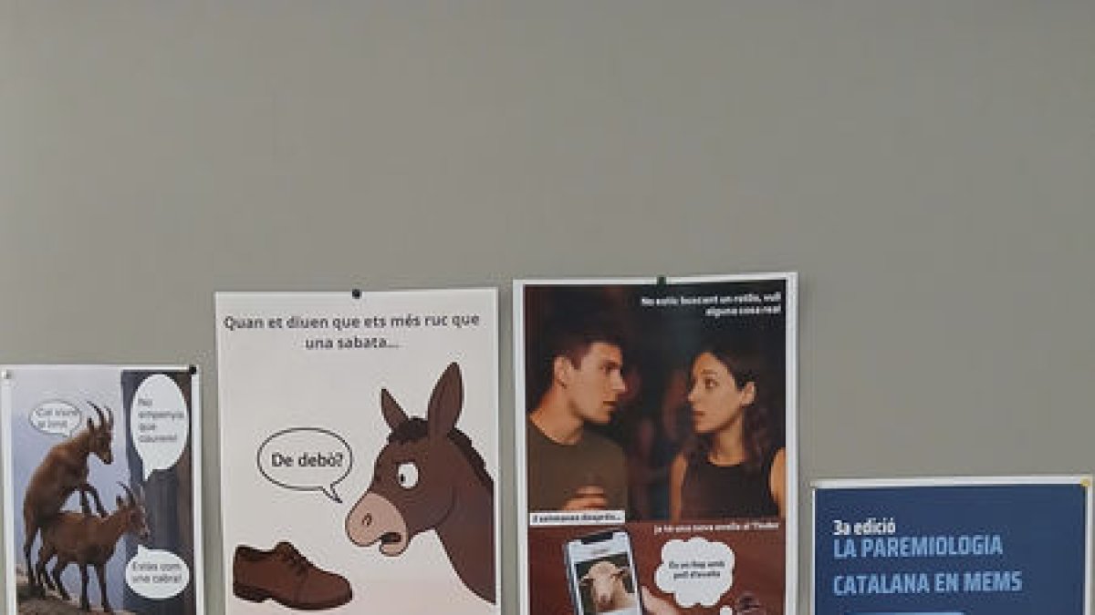 Paremiologia en mems - FOTOS DE UDL