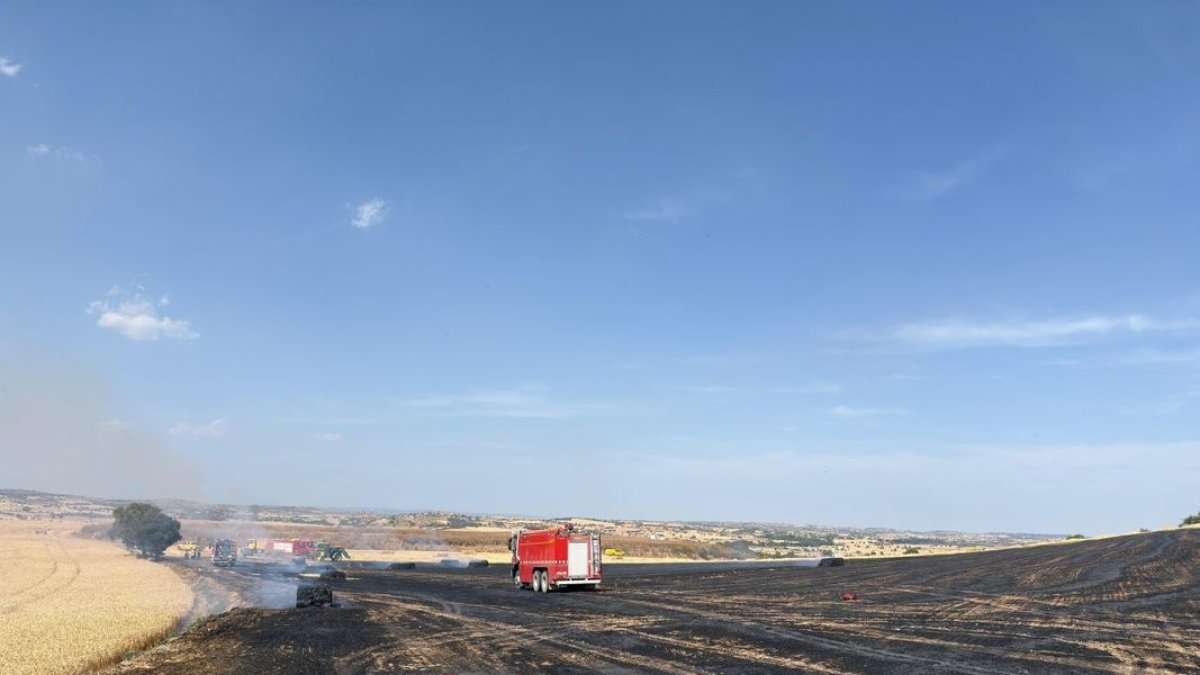 Imagen de unos de los campos arrasados por las llamas. - SEGRE
