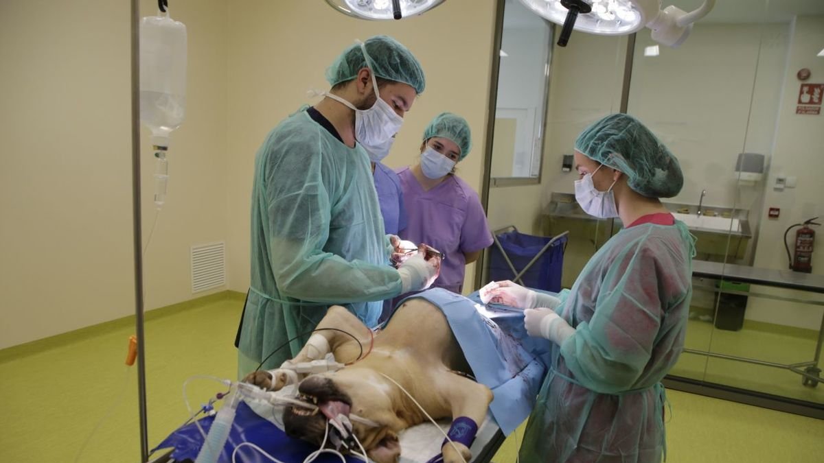 Imagen de archivo de unas prácticas  en Torrelameu. - ARCHIVO